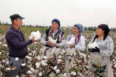 Илғор теримчилар рағбатлантирилмоқда