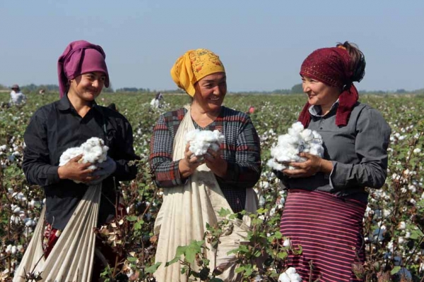 Ҳашарчи опа-сингилларимизнинг шижоати баланд