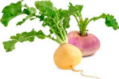 ШОЛFОМ - МИНГ ДАРДГА ДАВО