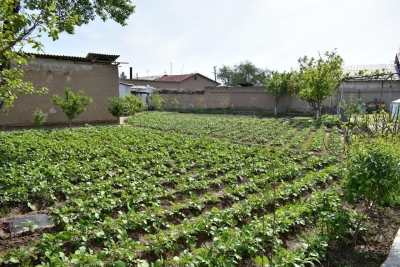 Qarovsiz qoldirgan tomorqa egalari uch karra yuqori soliq to&lsquo;laydi