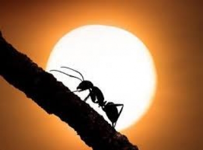 ЧУМОЛИ ИБРАТИ