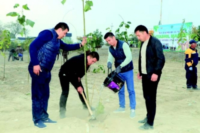 &quot;ЯШИЛ МАКОН&quot; УМУММИЛЛИЙ ЛОЙИІАСИ ДОИРАСИДА 8,5 МИЛЛИОН ТУПДАН ЗИЁД КЎЧАТ ВА ҚАЛАМЧАЛАР ЭКИЛАДИ