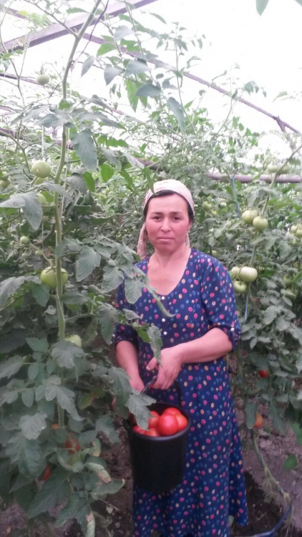 БИЗ АМЕРИКА ОЧАЁТГАНИМИЗ ЙЎҚ,