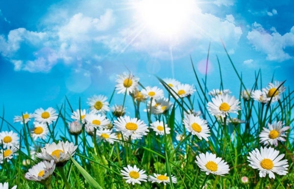 БАҲОР СОFИНЧИ