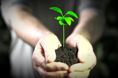 Ёшларда экологик маданиятни шакллантириш - замон талаби