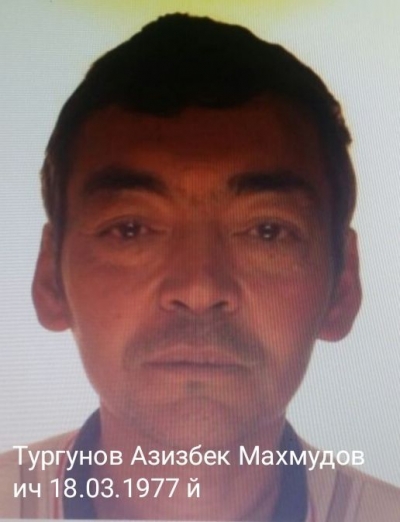 Диққат, қидирув!