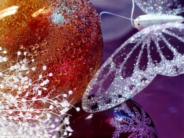 ДИЛ НОМАЛАРИ