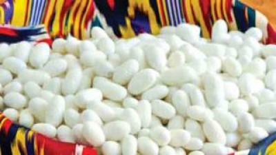 Пилла - етти хазинанинг бири