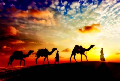 Туйғулар кураши...