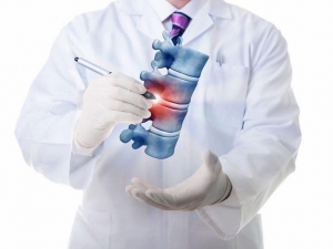 ABOUT INVERTEBRATE HERNIATED DISCS OR HERNIA