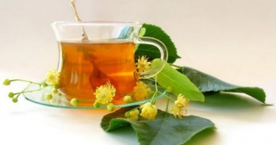 СИЗНИ ЙЎТАЛ ҚИЙНАЁТГАН БЎЛСА,