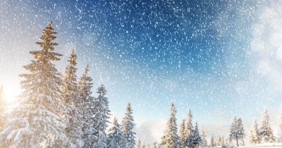 ҚОР СОҒИНЧИ