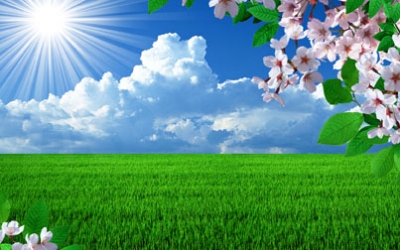 Баҳор келди сени сўроқлаб...