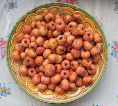 Дўлана кишига бардамлик ва қувват беради