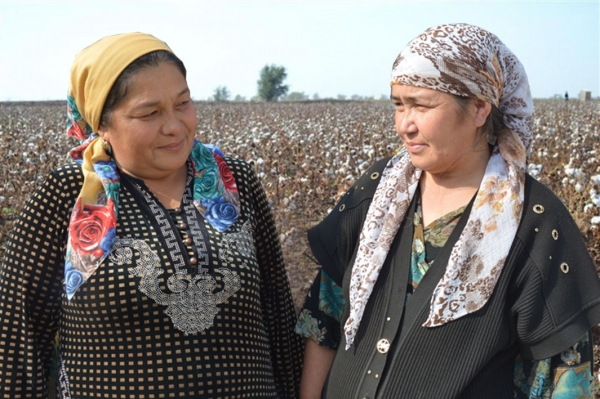 "ИҚБОЛ" ИЖОДИЙ ЖАМОАСИ ПАХТАКОРЛАР ДАВРАСИДА